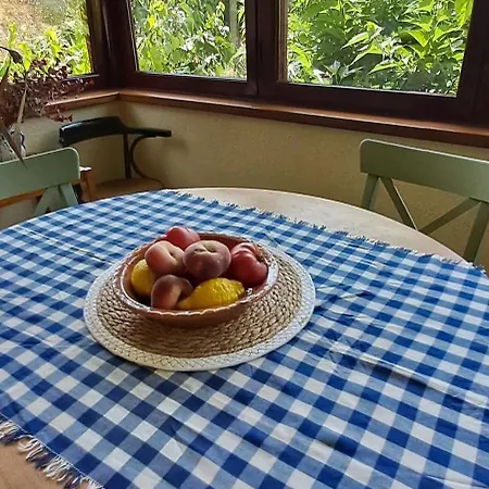 Chalet Entre Parques Naturales Vallgorguina