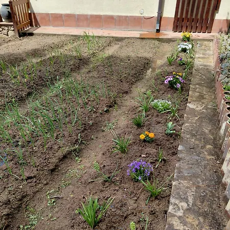 Chalet Entre Parques Naturales